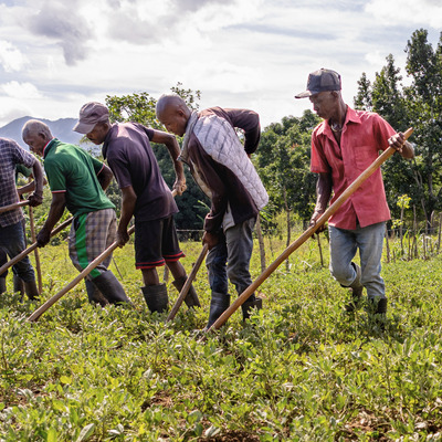 MFK Farmer Training